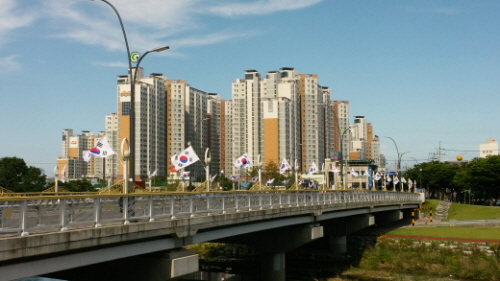 “온 시가지가 태극기의 물결로~” 경산시, 광복절 앞두..