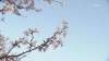 기온 올라 포근...6~7일 비 소식 [경산지역 주간 ..
