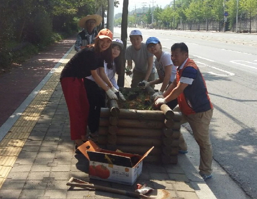 삼성현로 가로변에 ‘사철채송화’를~ 서부1동, 1km ..