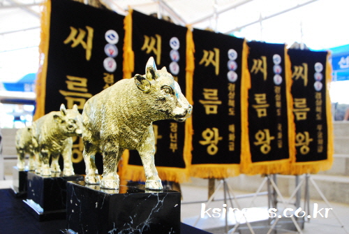 “경북 최고의 씨름왕을 가린다!” [경산자인단오제] 2..