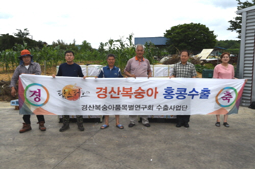 경산복숭아, 홍콩 수출길 올랐다! 몽부사 품종 691k..