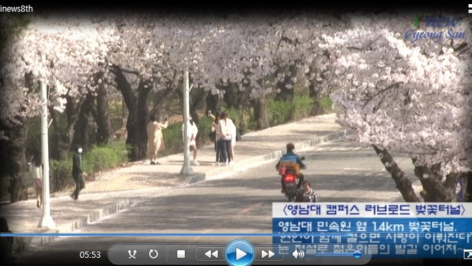 경산i뉴스 - 경산시인터넷방송국