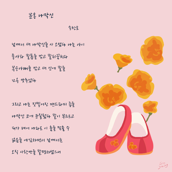 분홍 나막신 / 송찬호