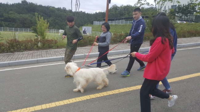 경산교육지원청, 특수학교 자유학기제 운영