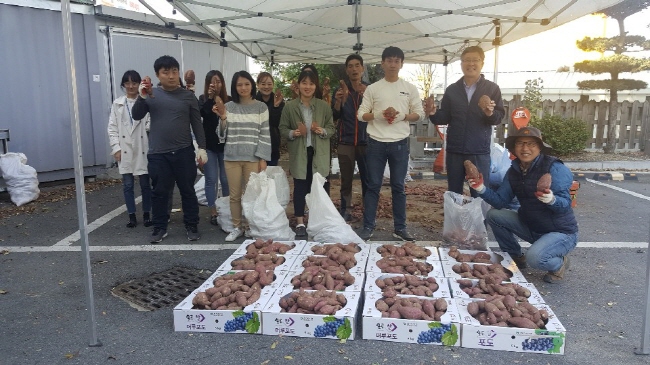 북부동, 사랑의 농장에서 고구마 수확