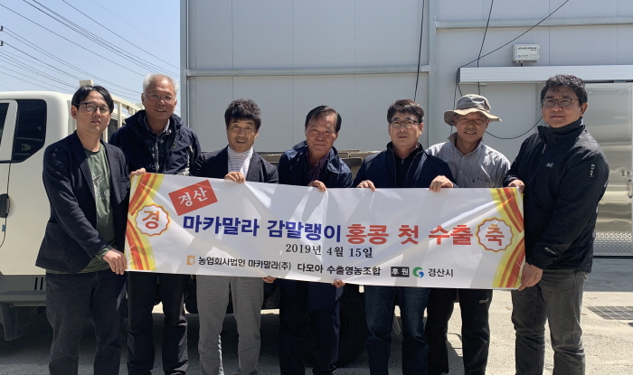 ‘경산 감말랭이’ 홍콩 첫 수출! 