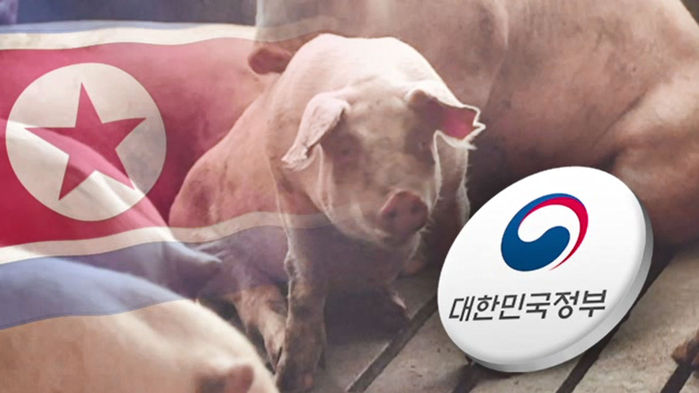 경북도, 아프리카돼지열병 유입차단에 총력