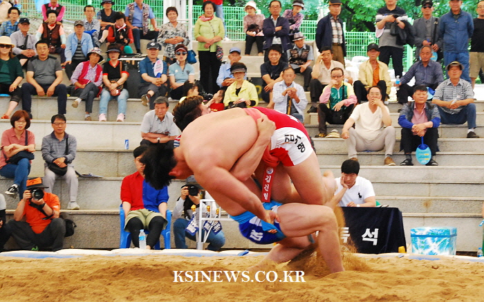 자인단오, 대학장사 씨름대회 열려
