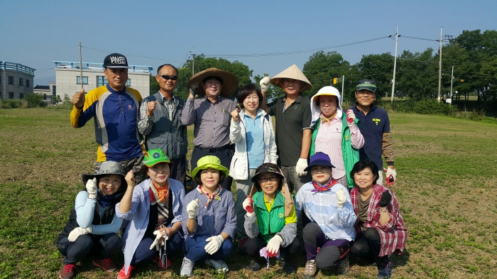 북부동, 임당동 공한지 메밀밭 단지 조성
