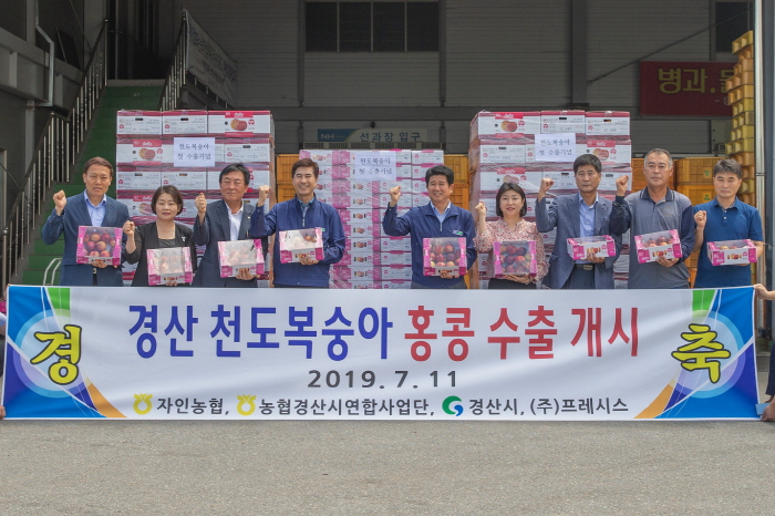 ‘경산 천도복숭아’ 올해 첫 홍콩 수출길에 올라