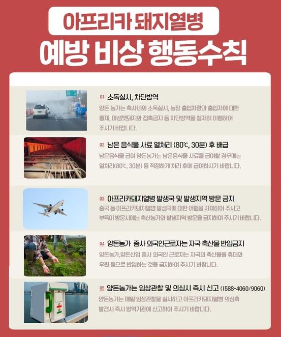 아프리카돼지열병(ASF) 발생, 비상태세 돌입