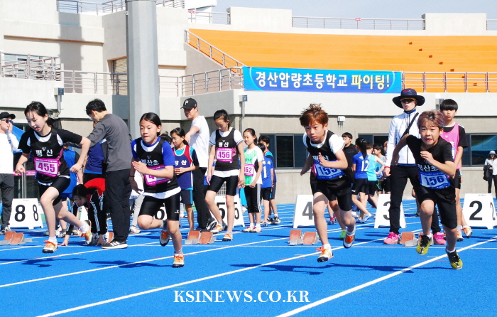 육상 꿈나무 발굴...시장기 육상대회 열려