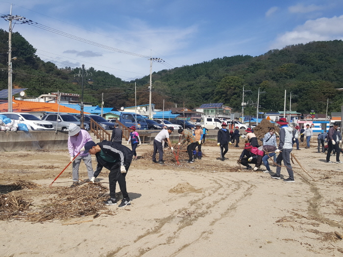 市 공무원, 태풍피해 복구지원에 구슬땀