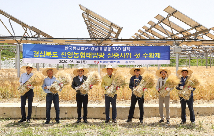 “전기도 만들고, 농작물도 생산하고”