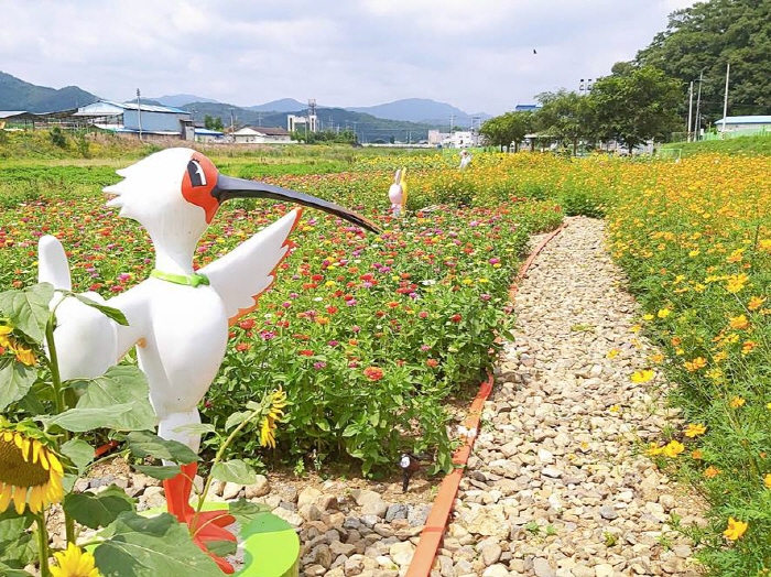용성면, 하천변 공한지에 ‘꽃단지’ 조성