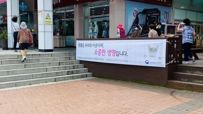 市,「성숙한 반려동물 문화 조성」홍보 캠페인