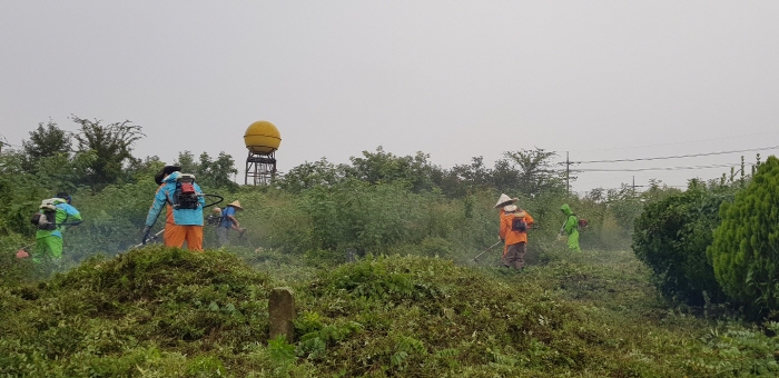 자인면 새마을지도자협의회, 무연분묘 공동묘지 벌초 후 ..