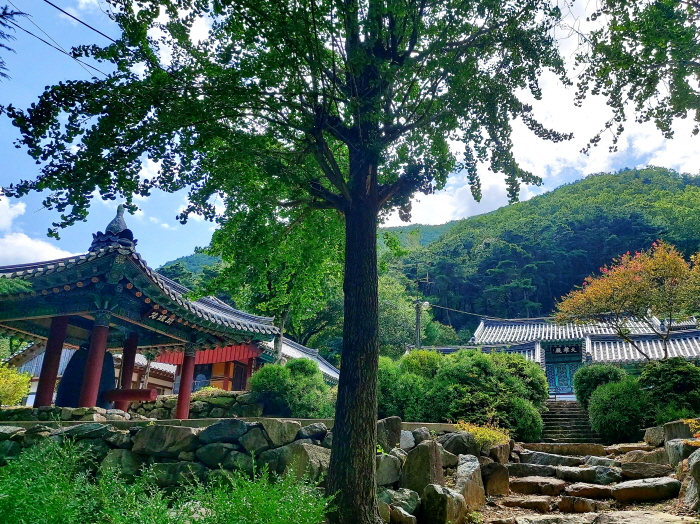 절집의 고요가 그리운 사람은 ― 동학산 경흥사 