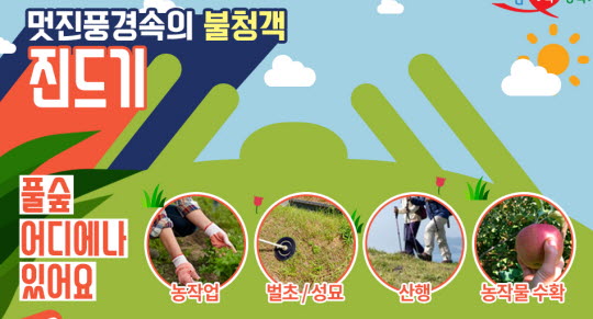 경북, 올해 첫 야생진드기 사망사고 발생