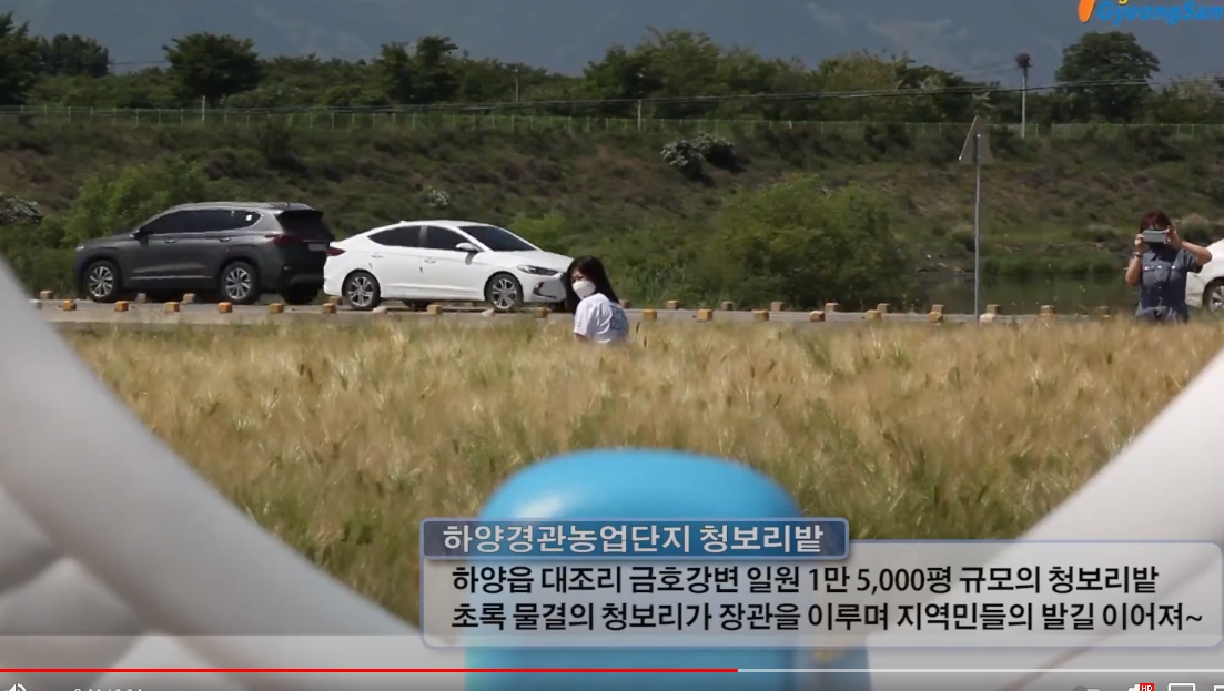 ‘금호강변의 푸른 봄 정취’ 