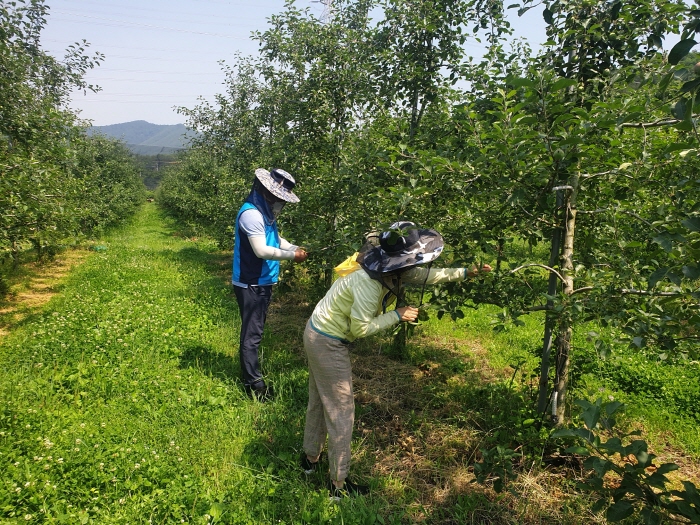 청도군, ‘과수화상병’ 확산방지 행정명령 발령 