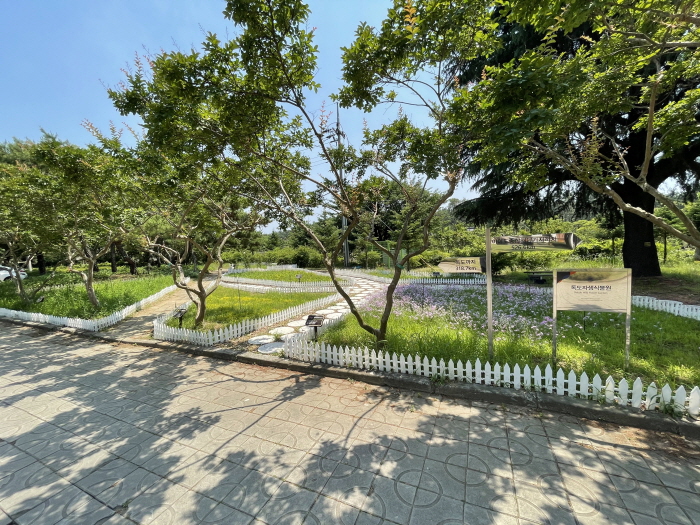 경북도, 독도식물원 묘포장 조성
