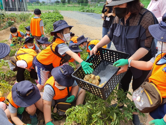 경산유치원, 꼬마농부의 텃밭 놀이 