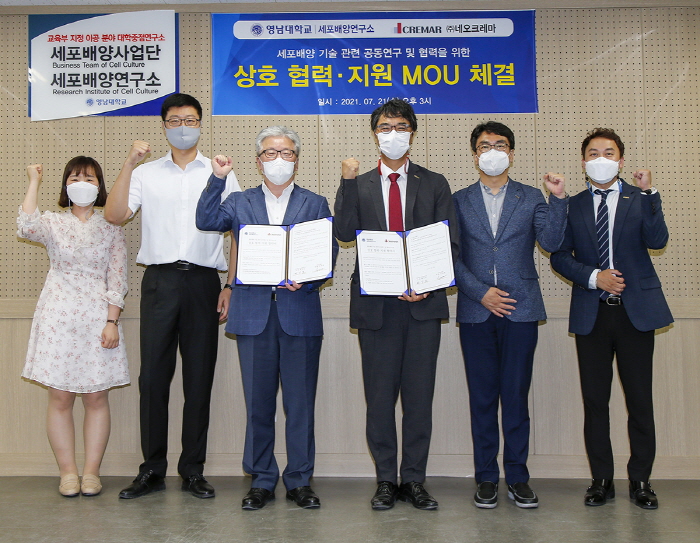 영남대, 미래 먹거리 ‘세포배양’ 사업화 탄력