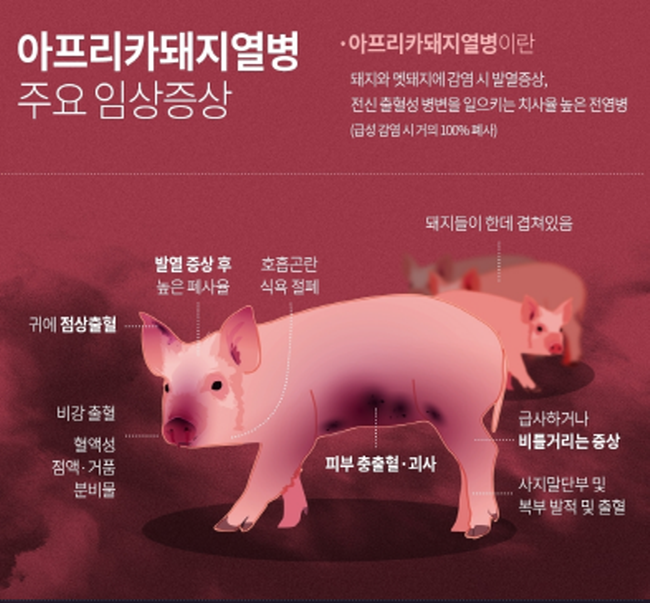 경북도, 아프리카돼지열병 도내 유입 차단에 총력!