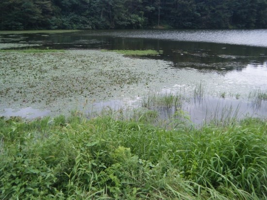 ‘경산 미륵골 누리길 조성사업’ 국토부 공모 선정
