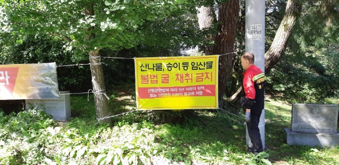 경북도, 가을철 임산물 불법 채취 집중단속 