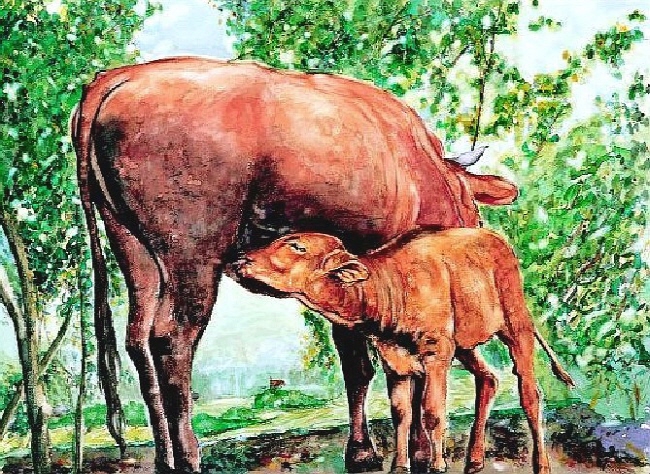 저녁 햇빛에 마음을 내어 말리다 / 장석남