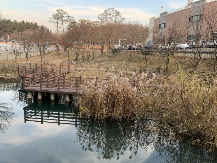경산생활체육공원에 천연기념물 ‘수달’ 발견