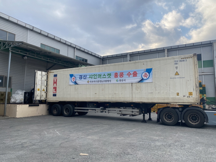 경산 샤인머스켓 세모에 수출길 올라