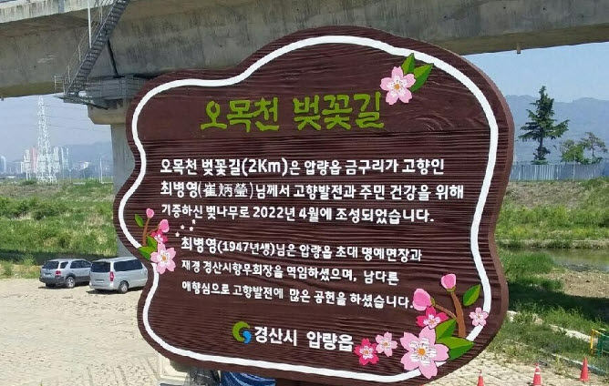 압량읍, 오목천에 벚꽃길 조성 