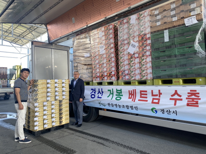 경산 거봉포도, 베트남 수출길 올라 