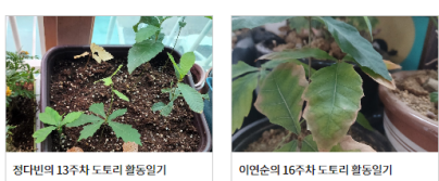 경산자봉, ‘도토Re:숲으로’ 온라인 일기장 운영