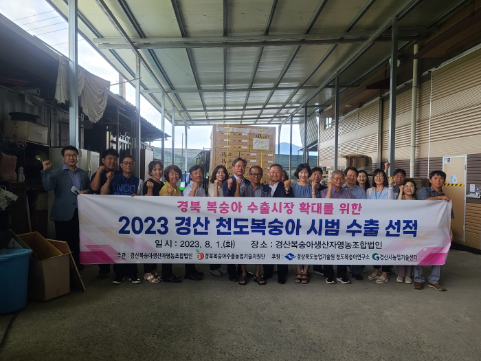 경산 천도복숭아 ‘금홍’ 홍콩·태국 첫 수출