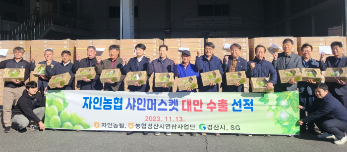 자인농협, 샤인머스켓 대만 수출!