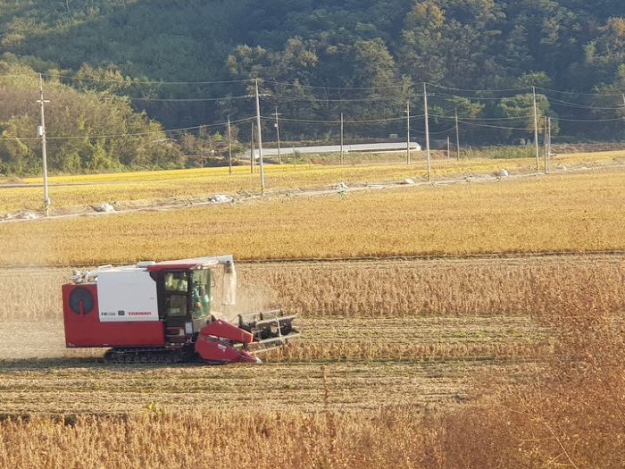 경북 농업대전환 영순들녘 공동영농, ‘농업생산액 3배’..