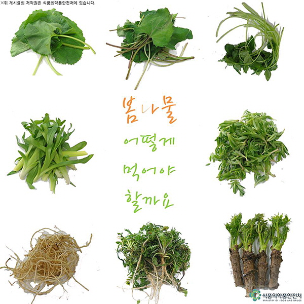 제철 봄나물 안정성 검사 ‘안전’