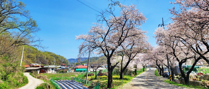 구연대의 풍류가 서려 있는 미산1리(사미천리)