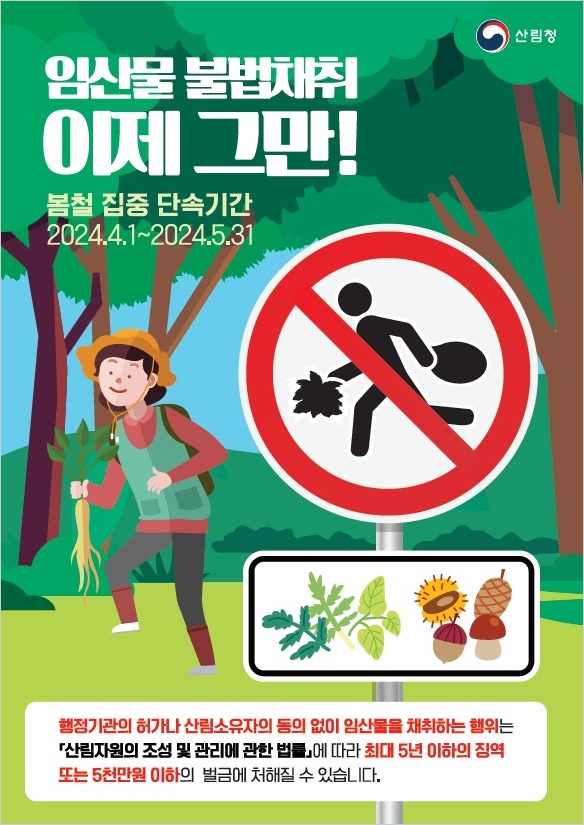 경북도, 산림 내 불법행위 집중단속
