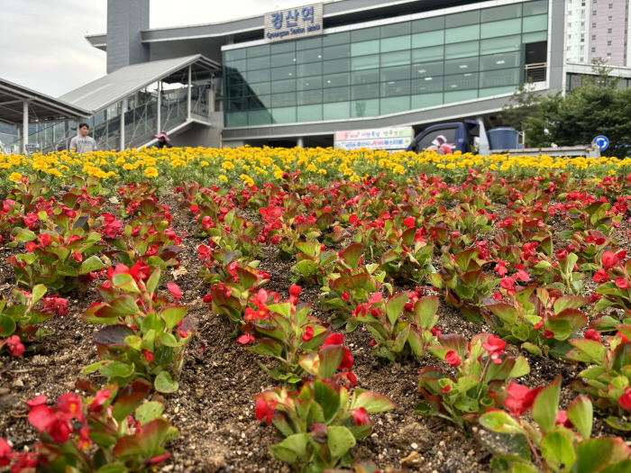 경산역 광장 ‘알록달록 꽃단장’ 