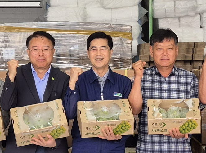 경산 샤인머스캣, 중동 시장 첫 수출