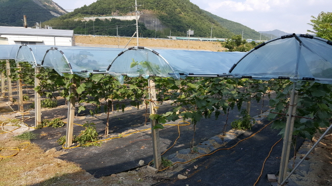 경산시, ‘FTA기금 시설현대화사업’ 시행