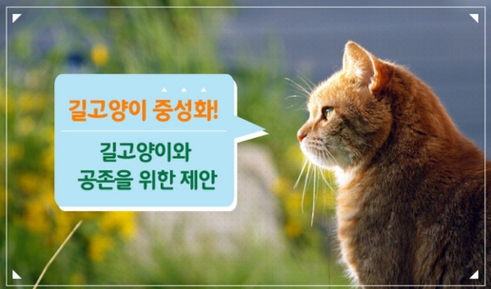 경산시, 길고양이 중성화(TNR) 사업 추진
