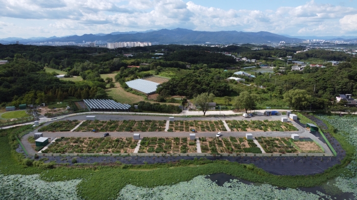 경산시, 도시농업 공영농장 개장